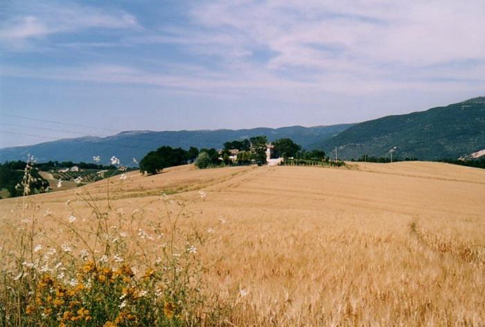 Casale Santomanno Villa Acquasparta Buitenkant foto