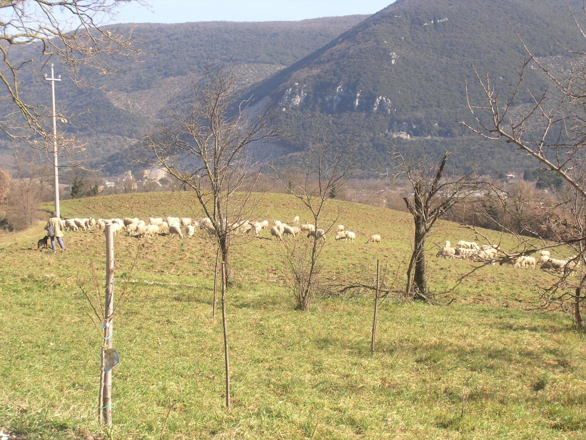 Casale Santomanno Villa Acquasparta Buitenkant foto